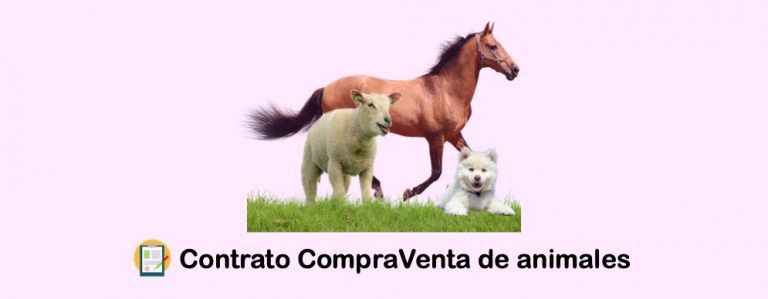 Contrato de compraventa de animales