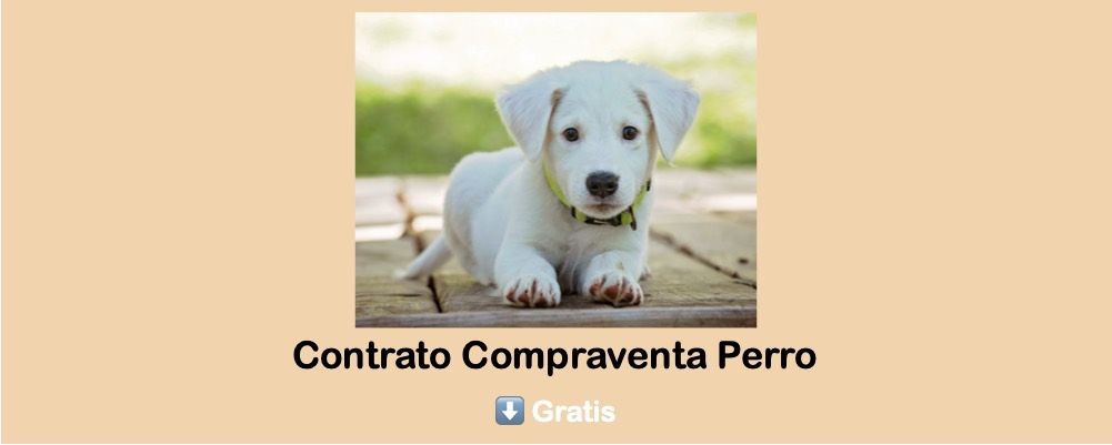 contrato compraventa de cachorrito o perro para descargar gratis