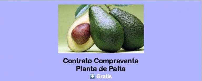 Contrato Compraventa Planta de Palta descarga gratis